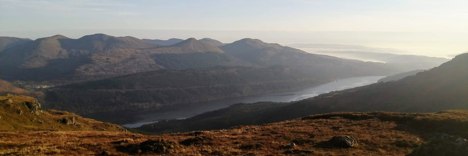 Argyll Forest